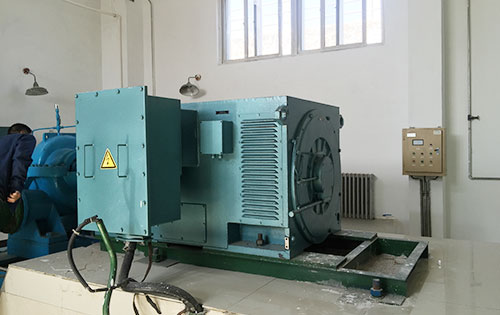 Y5004-2/1600KW某水电站工程主水泵使用我公司高压电机