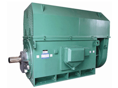 Y5004-2/1600KWY系列6KV高压电机